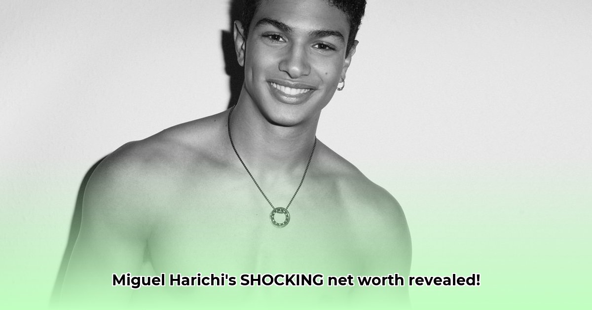 miguel-harichi-net-worth